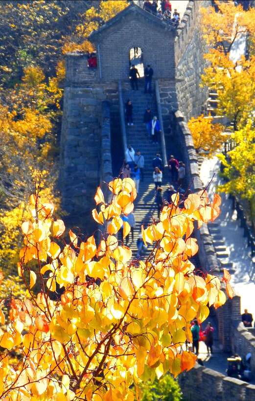 Beijing: Mutianyu Great Wall Bus Tour with Ticket &Cable car - Mutianyu Park time: 5 hours to walk the wall at your pace