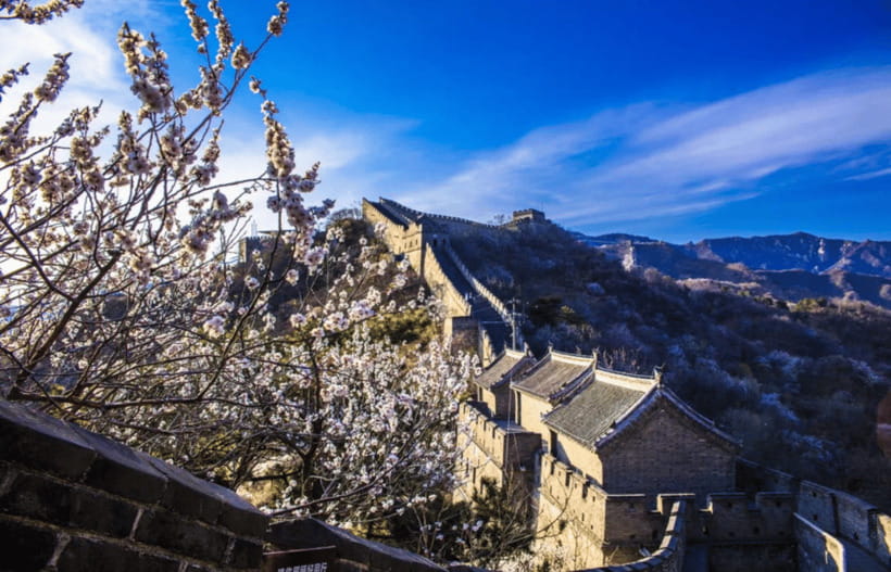 Beijing Mutianyu Great Wall&ForbiddenCity All Inclusive Tour - Who should book this Mutianyu and Forbidden City day?