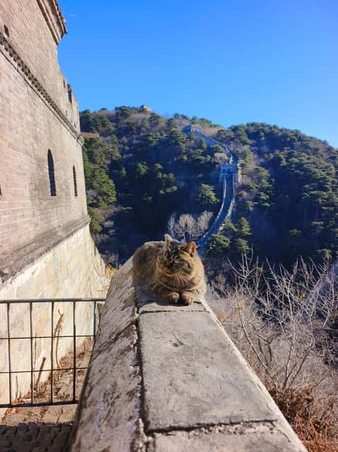 Beijing Mutianyu Great Wall Private Tour with Options - Price and Value: Is $106 Per Person Fair for a Private Tour?