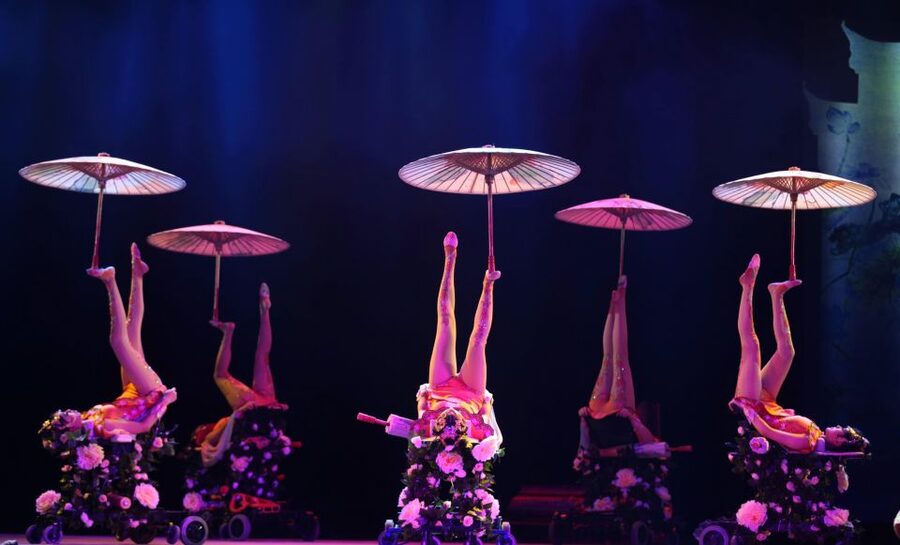 Beijing Night Tour with Acrobatics Show & PekingDuck Dinner - Practical Planning: Smart/Casual Dress, Weather, and Your Passport