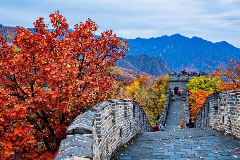 Beijing: Panda House w/Great Wall or City Sites Private Tour - Option 3: Customize the afternoon, from temples and Hutongs to markets and 798