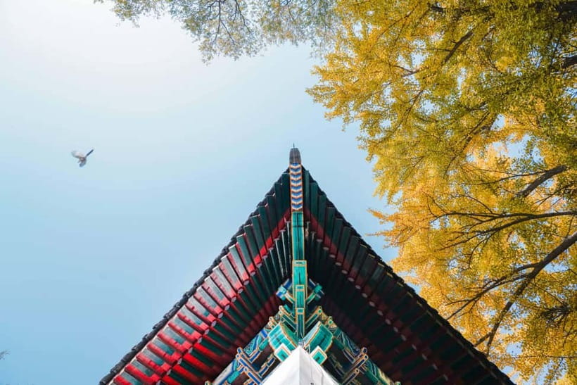 Beijing: Peking University Campus Guided Walking Tour - The PKU Library and the Cai Yuanpei statue moment