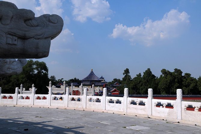 Beijing Private Tour to Temple of Heaven, Panda House and Summer Palace - Morning pandas: why the start time matters