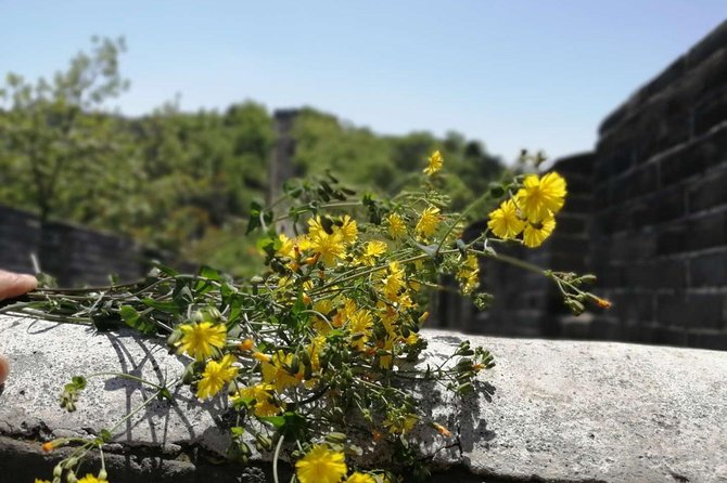 Beijing Private Transfer: Badaling Great Wall with VIP Past Pass - VIP Access at Badaling: What It Means in Real Life