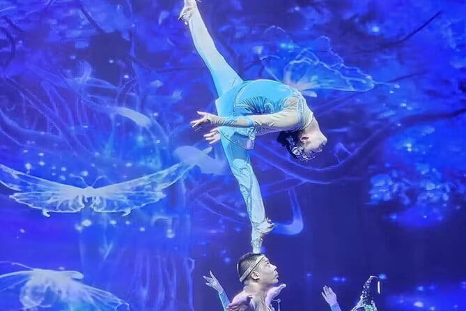 Beijing Red theatre Acrobatics Show Ticket - Ticketing and the QR you must use at Red Theatre