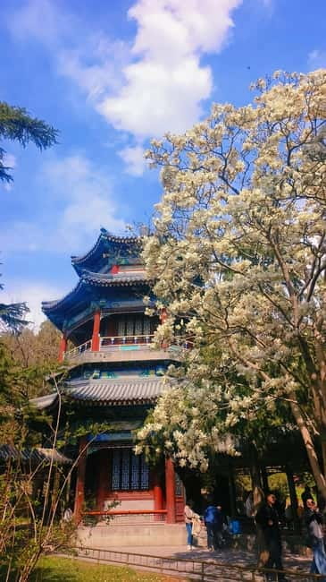 Beijing: Summer Palace Highlight Walking Tour - Why the $41 price feels fair for a 2-hour highlight walk