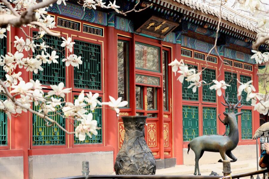 Beijing: Summer Palace, Sacred Road&Ming Tombs Private Tour - Sacred Way: walking the Ming stone guard corridor