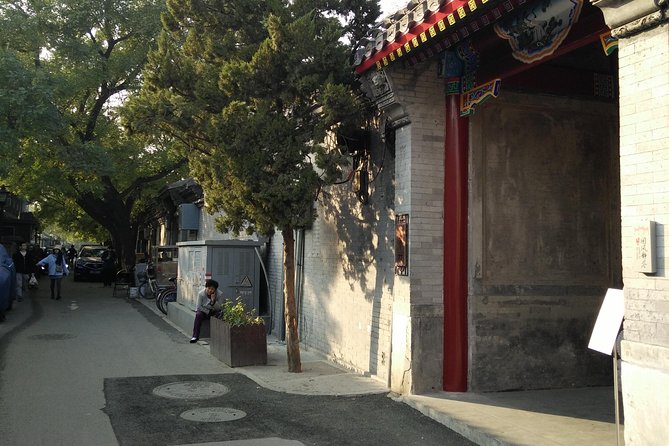 Beijing Tailored Privated Day Trip by Licensed Driver - Tips to make your day smoother inside each major site