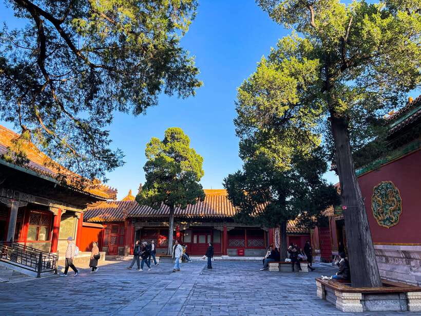 Beijing:Temple of Heaven+Forbidden City Private City Tour - Temple of Heaven: more than a pretty complex