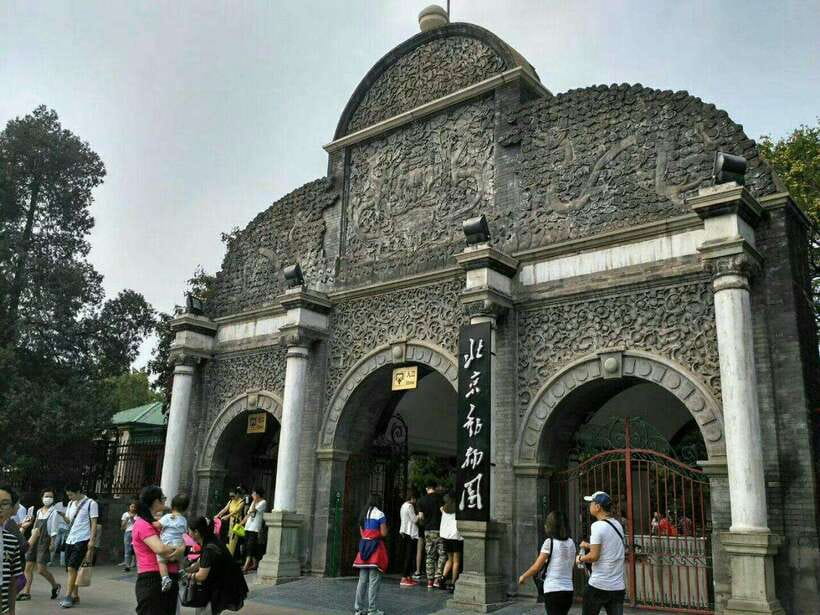 Beijing: The Beijing Zoo Entry Ticket with Pandas - Getting In Without the Usual Ticket Line Chaos