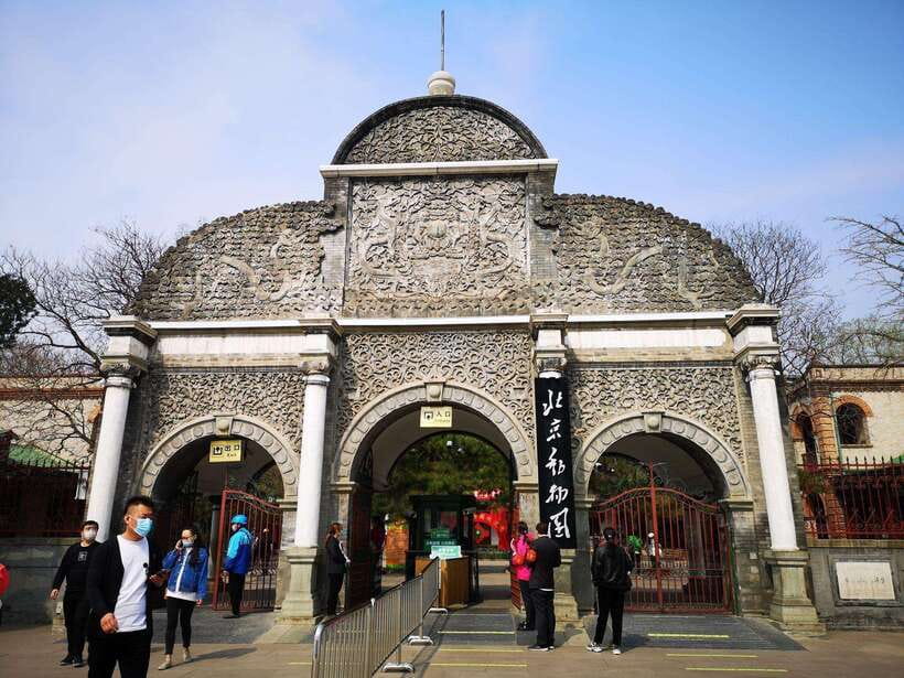 Beijing: The Beijing Zoo Entry Ticket with Pandas - A Zoo Built for Animal Variety, Not One-Theme Sightseeing