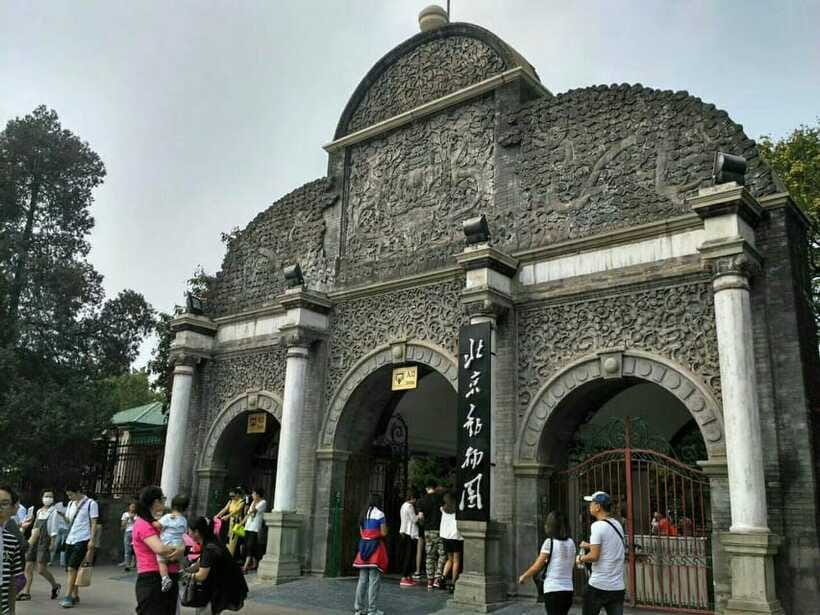 Beijing: The Beijing Zoo Entry Ticket with Pandas - Value Math: Why This Ticket Costs About $6