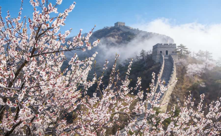 Beijing: Tiananmen, Forbidden City, and Wall Private Tour - Key moments that make this tour worth it