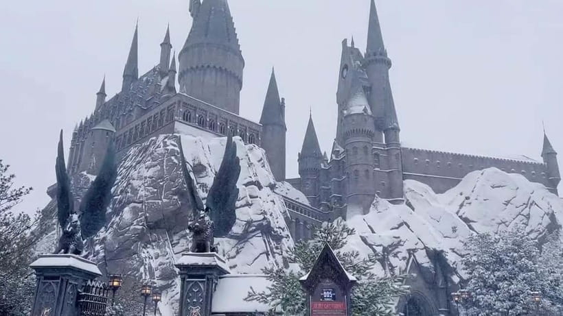 Beijing Universal studios 1 day private tour (opt) - Food and CityWalk, so your day does not turn into snack math