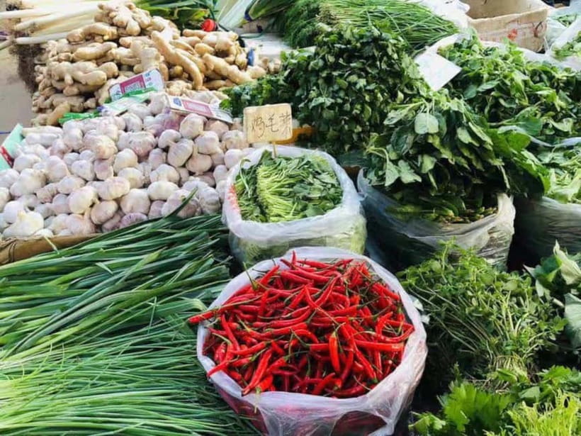 Beijing: Vegan Home Cooking & Local Market Tour with Sanxia - Meeting Sanxia in Tongzhou, near Tu Qiao