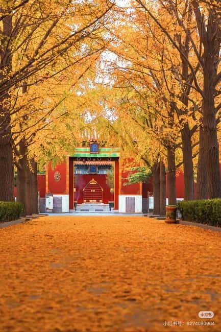 Beijing: Yonghe Lama Temple Tickets with guide (optional) - Prebooked Tickets: The Small Choice That Saves Big Time