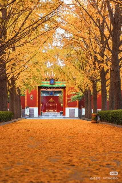 Beijing: Yonghe Lama Temple Tickets with guide (optional) - Five Main Halls: What to Look For in Each Stop
