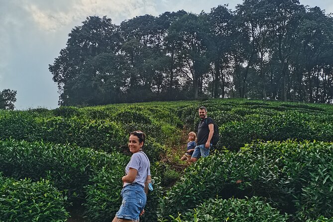 Best of Hangzhou: A Comprehensive Tour of the City's Top Sights - Longjing tea fields plus lunch: two ways to eat, one way to learn