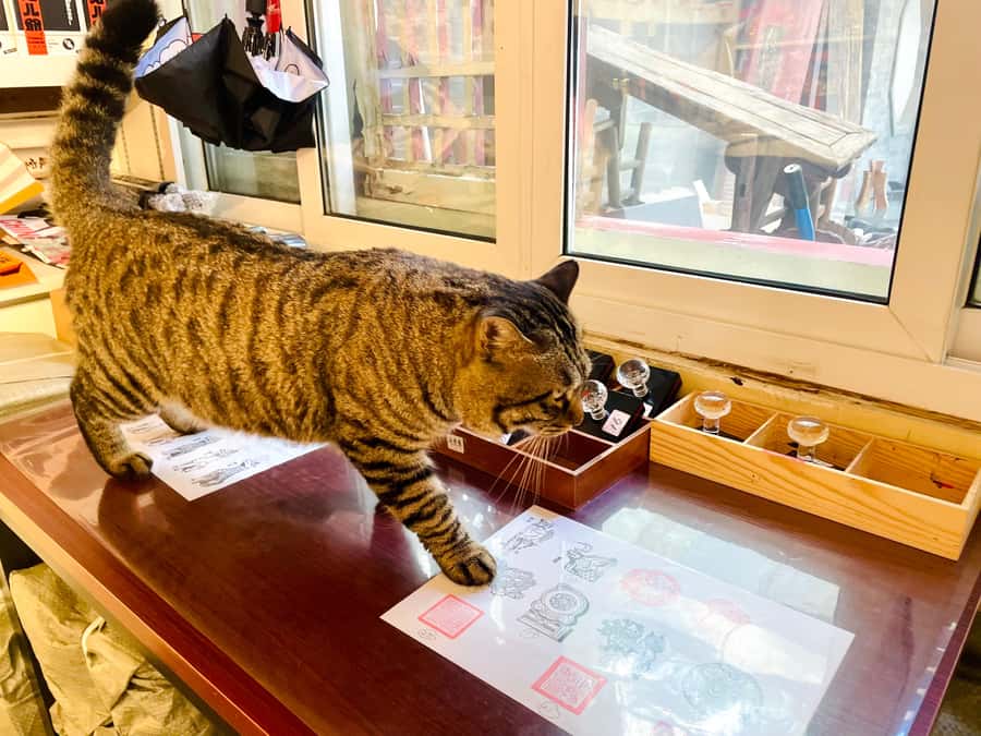 Bite and Stroll: Brunch Tour in Old Town Beijing! - Stop 3: dessert plus a tea ceremony, about 40 minutes