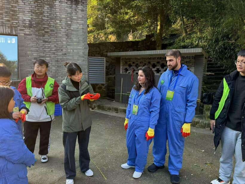 Chengdu: Dujiangyan Panda Base Volunteering Day Trip - Why this panda day feels different than a standard visit