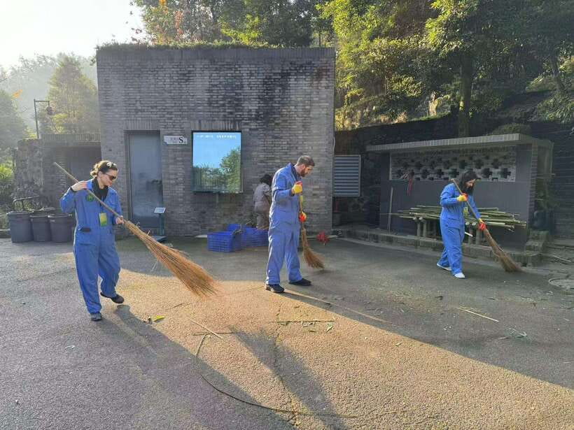Chengdu: Dujiangyan Panda Base Volunteering Day Trip - Signing in, work clothes, and the rules you should respect