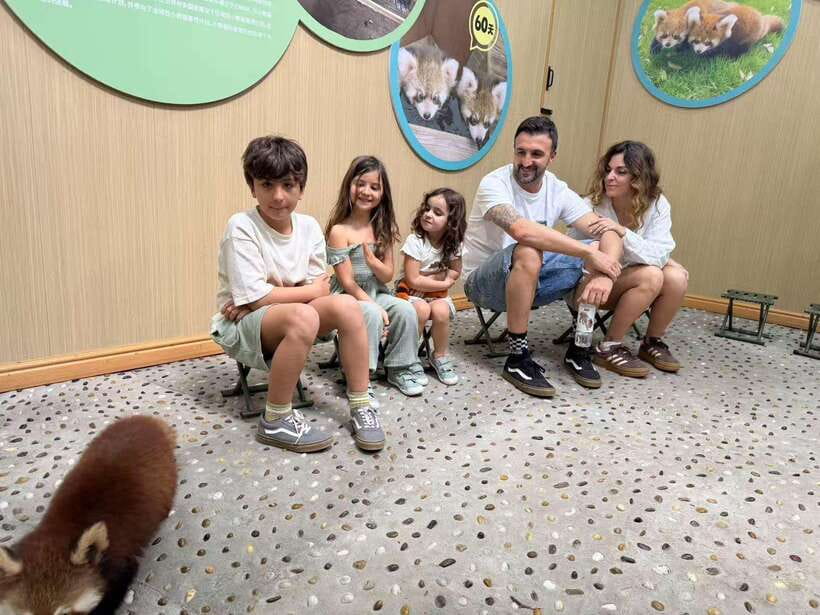 Chengdu: Dujiangyan Panda Base Volunteering Day Trip - Lunch with the keepers, plus a panda documentary break