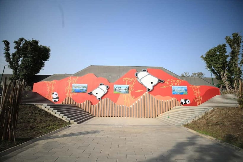 Chengdu: Half-Day Panda Base Tour with Guide Option - The Guide Option: What English-Speaking Help Adds