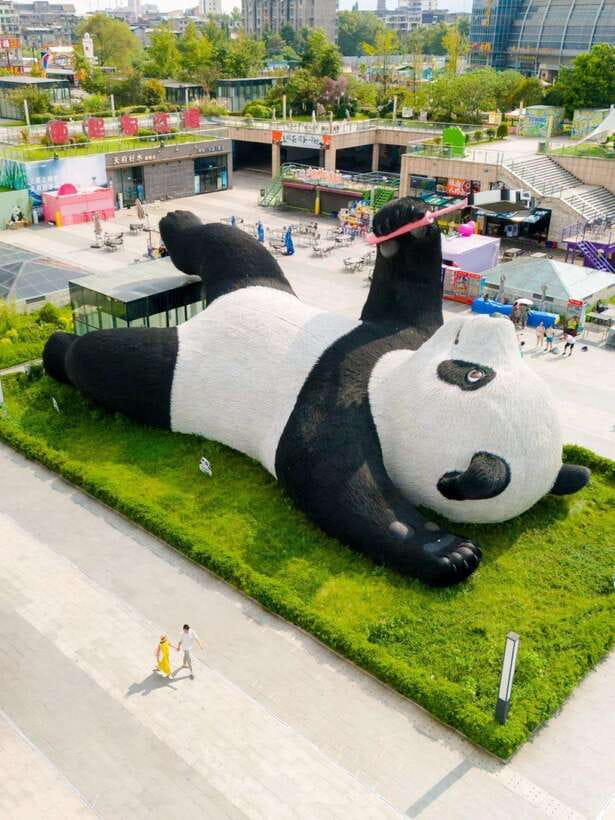 Chengdu: Hidden Wonders Day Tour with Wolong Panda Base - Key highlights that matter