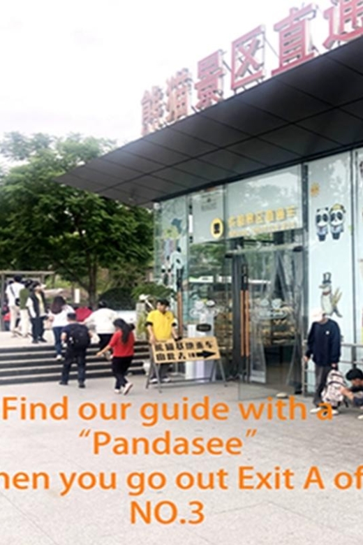 Chengdu panda base half day tour - Key points I think matter for your day