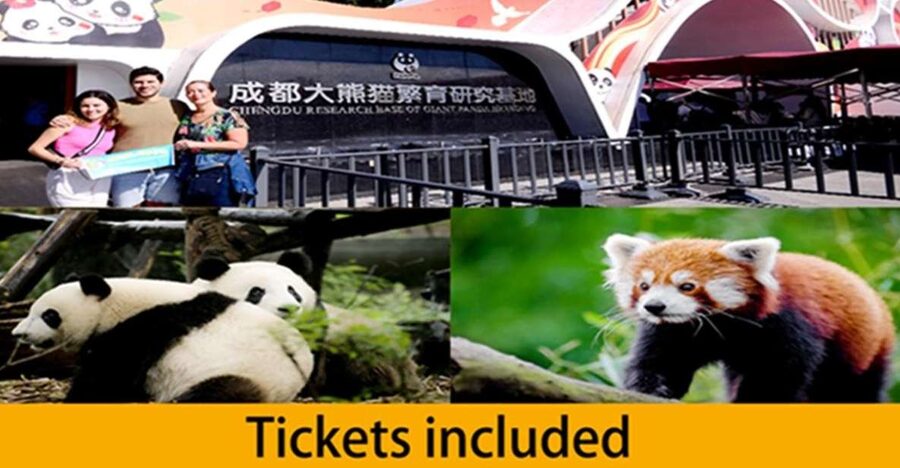 Chengdu panda base half day tour - Meeting at Exit A, then riding the public bus (fast and air-conditioned)