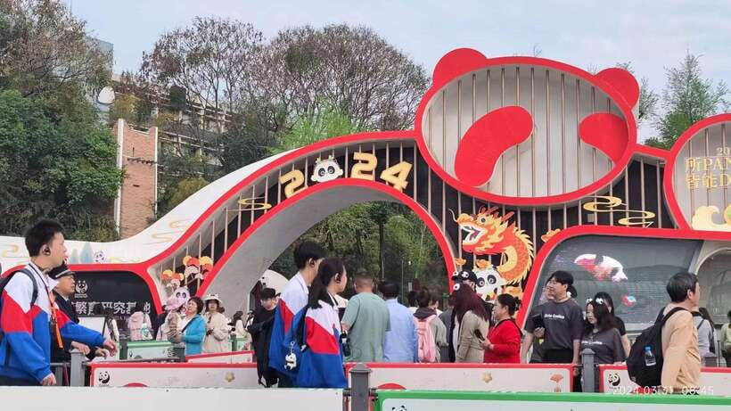 Chengdu: Panda Breeding Base Tickets Booking - Choosing the right option: entry-only vs group tour with guide and transfers