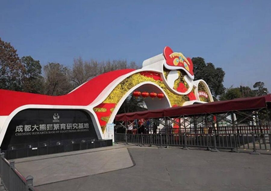 Chengdu panda & Leshan Buddha One Day Private Tour - Key Points You Will Care About