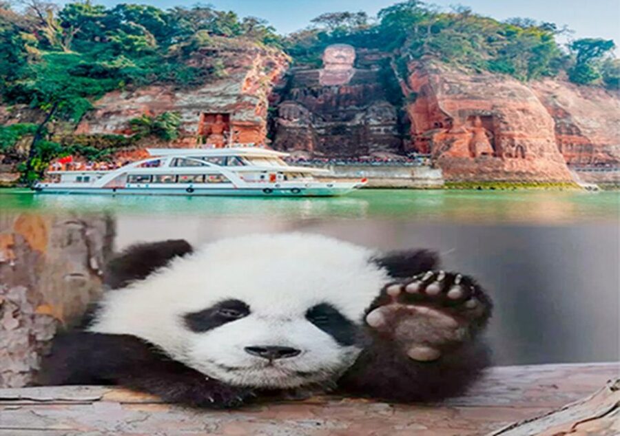 Chengdu panda & Leshan Buddha One Day Private Tour - Tickets and What the Price Really Covers