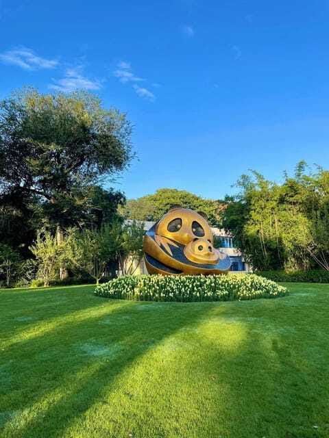 Chengdu: Panda Research Base Ticket or Private Transfer Tour - No Tour Guide Needed, but You Still Need a Plan