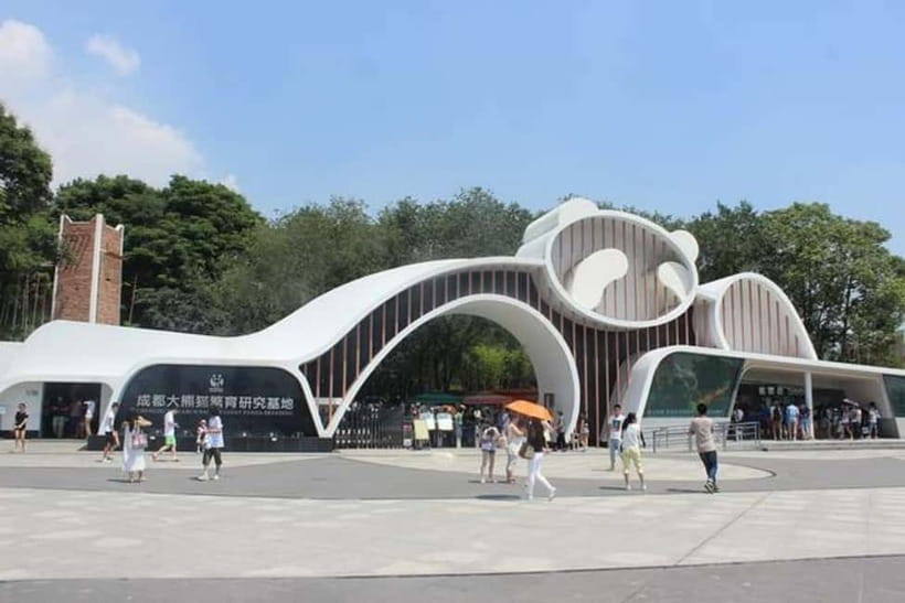 Chengdu: Panda Research Base Ticket or Volunteer Day Trip - Price and Value at About $9, Plus the Extras to Budget