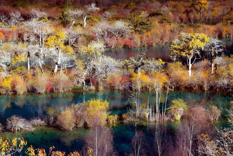 Chengdu: private 2-Day Huanglong Jiuzhaigou tour by train - Price and paperwork: is $541 per person good value?
