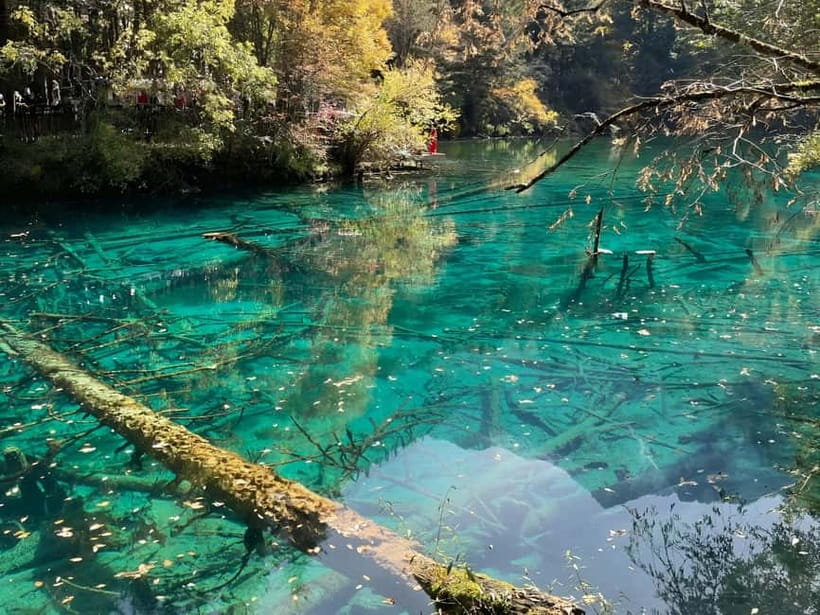 Chengdu: private 2-Day Huanglong Jiuzhaigou tour by train - Who should book this tour, and who might hate it