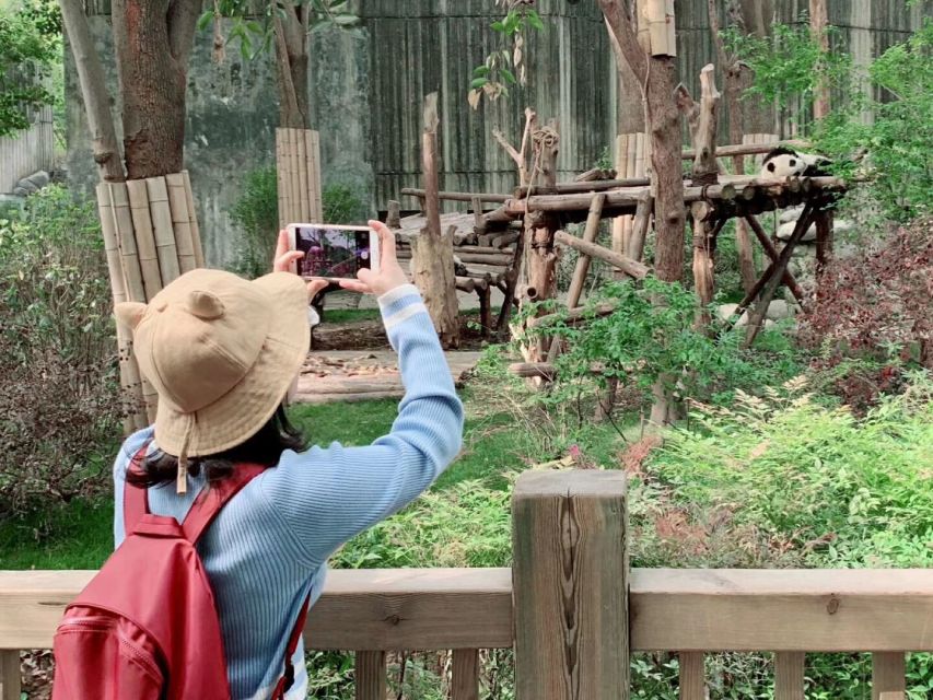 Chengdu: Private Panda Base Tour with 80 Pandas - Who this tour suits best