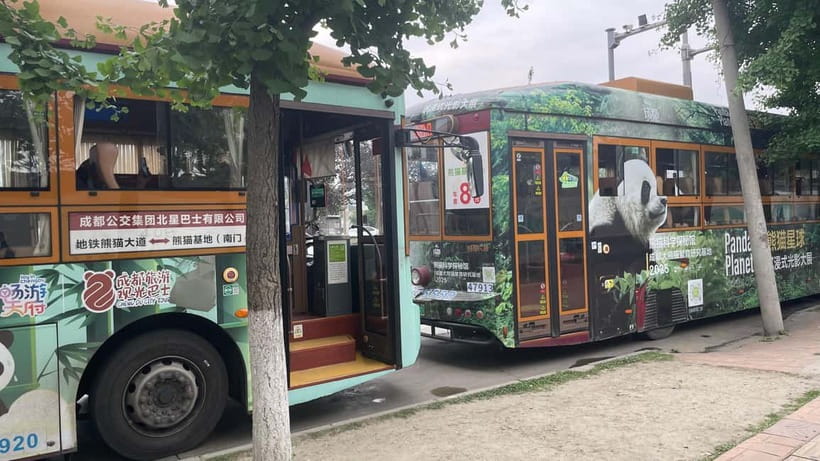 Chengdu: Private Tour at Panda Base with Guide - Meeting Your Guide at the South Gate (or Metro Line 3)