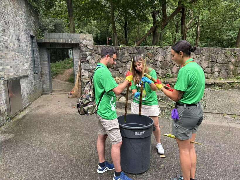 Chengdu: Volunteer Day Experience at Dujiangyan Panda base - Key highlights you will care about