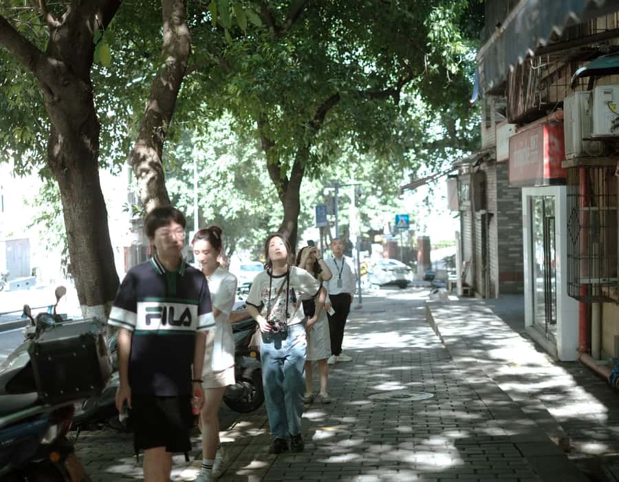 Chongqing 4-hour Hidden City Walking Tour with Local Guide - Key things you’ll notice on this hidden-city route