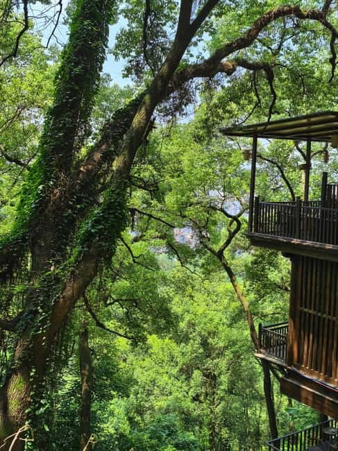 Chongqing: Historical Blocks, Temple, and Mountain Tour - Nanshan Scenic Area: Mountain Air, Stone Stairs, and Scenic Stops