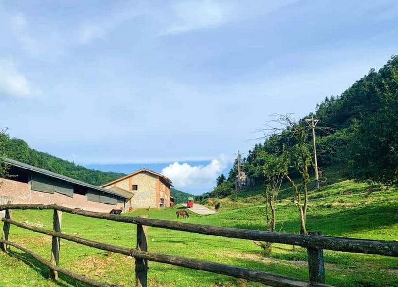 Chongqing One-Day Trip: Wulong's 3 Essentials - Price and value: is $299 worth it for eight hours?