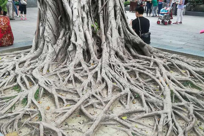 Customised Private Guangzhou City Tour with Flexible Itinerary - Lychee Bay and Xiguan Old House, Qilou facades and wooden sliding doors