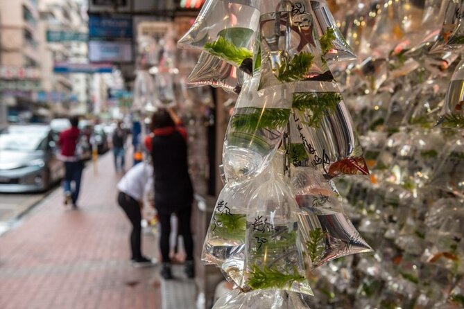 Dark Side of Hong Kong - Kowloon Caged Homes Walking Tour - Yee Kuk Street: Markets, Backstreets, and the Dark Tradeoffs