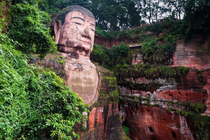 Day tour Chengdu Panda Base Leshan Giant Buddha with local Lunch - Tea Terrace Views and Tasting, a Nice Pause Before the Buddha