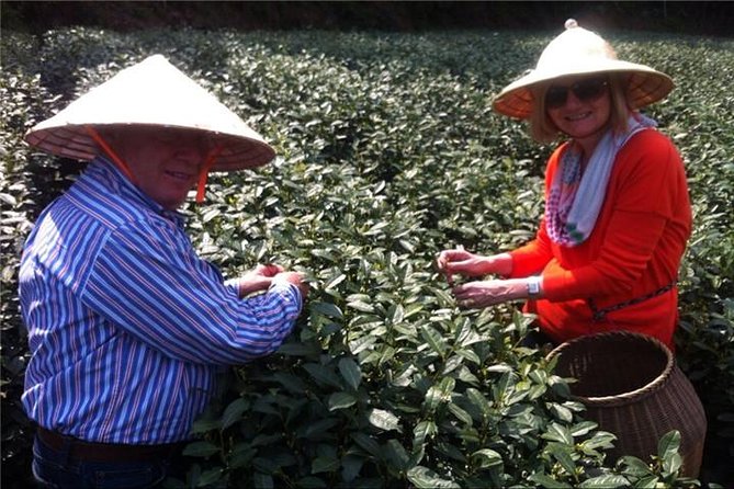 Day Tour to Discover the Secrets of Hangzhou's Tea Culture - Stop 1 at West Lake (Xi Hu): Views, Photo Stops, and Time to Reset