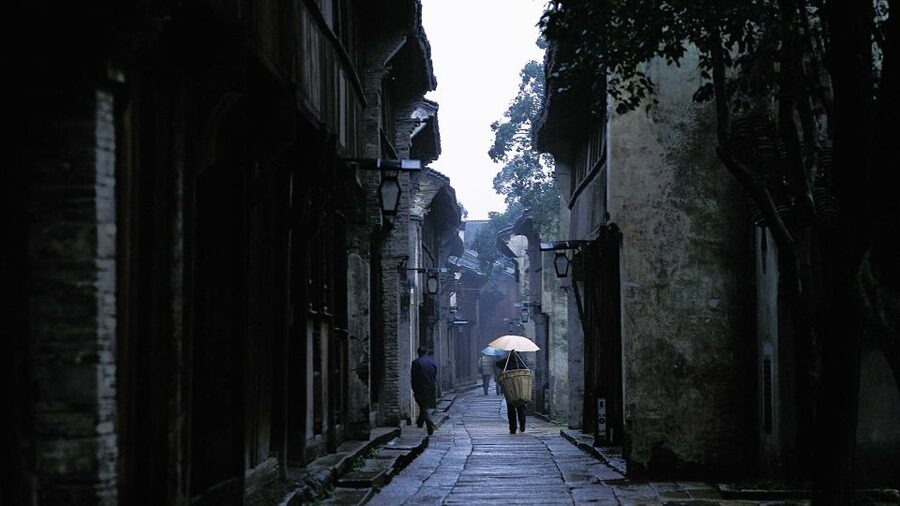 Delve into Wuzhen Water Town: Private Tour from Shanghai - Lunch and Dinner Options: How the Included Meal Fits the Schedule