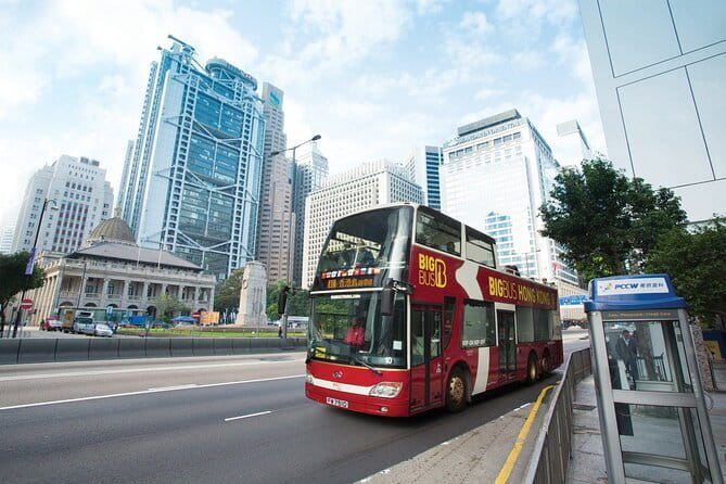 Discover the Best of Hong Kong Street Art - Private tour - Weather and Timing Considerations for a Morning Street-Art Walk