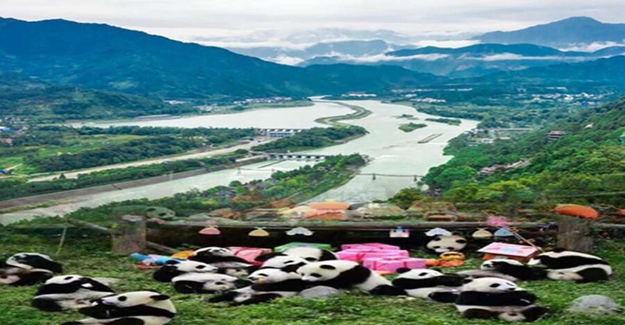 Dujiangyan panda base and irrigation system park day tour - The Hogwarts Library stop at Zhongshuge